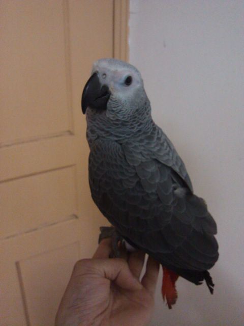 IMG_20131003_174332.jpg