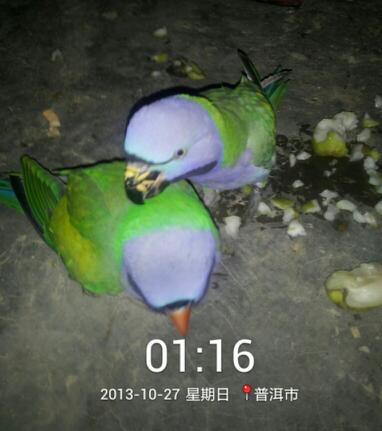 2013_10_27_01_16_10-1.jpg