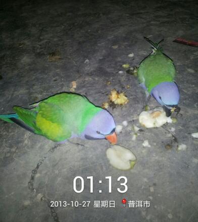 2013_10_27_01_13_34-1.jpg