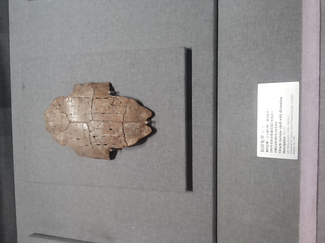 20130924_094005.jpg