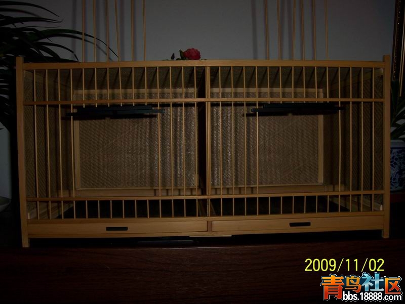 100_9534.jpg