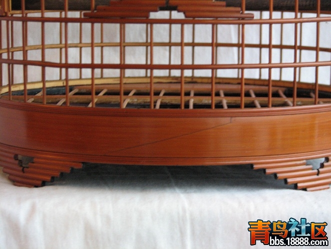 照片 081.jpg