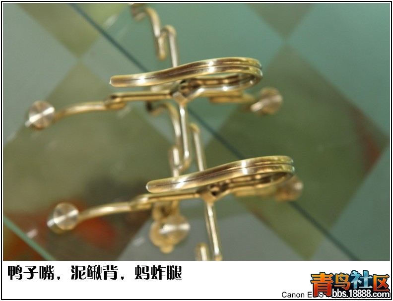 照片 021.jpg