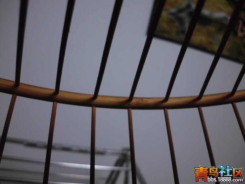 DSCI1289笼子.JPG