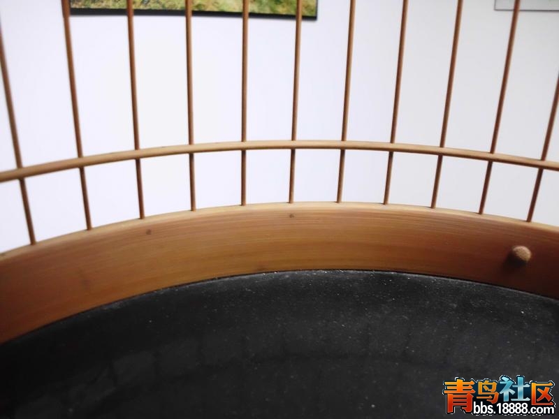 DSCI1290笼子.JPG