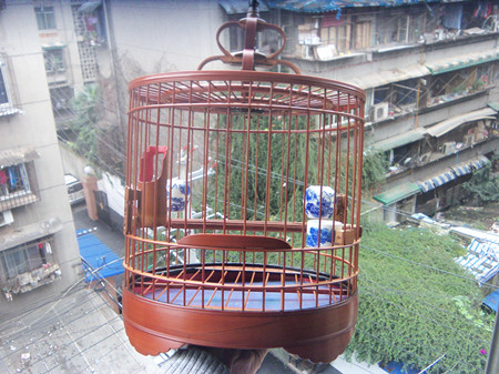 100_3246_副本.jpg