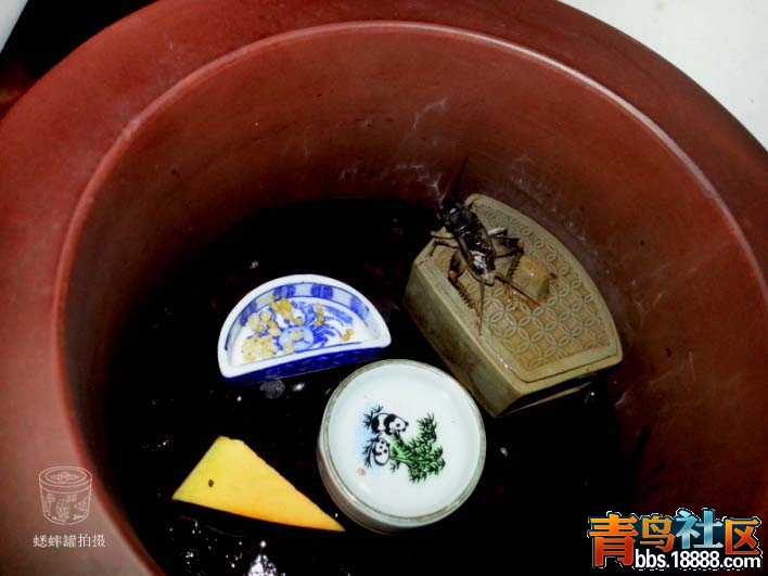 20131030_080639a.jpg