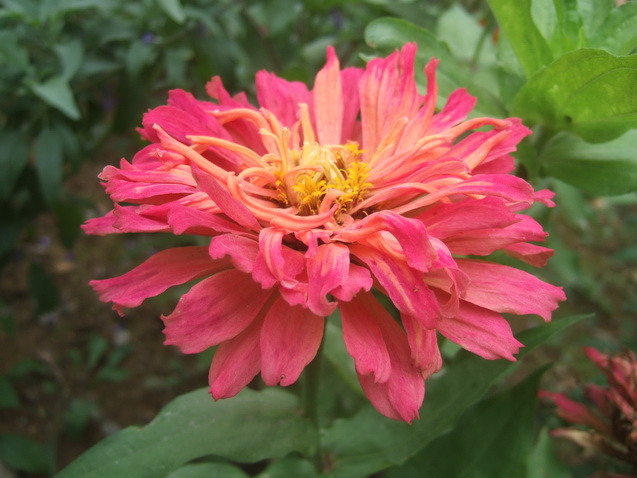 DSCF7190_调整大小.JPG