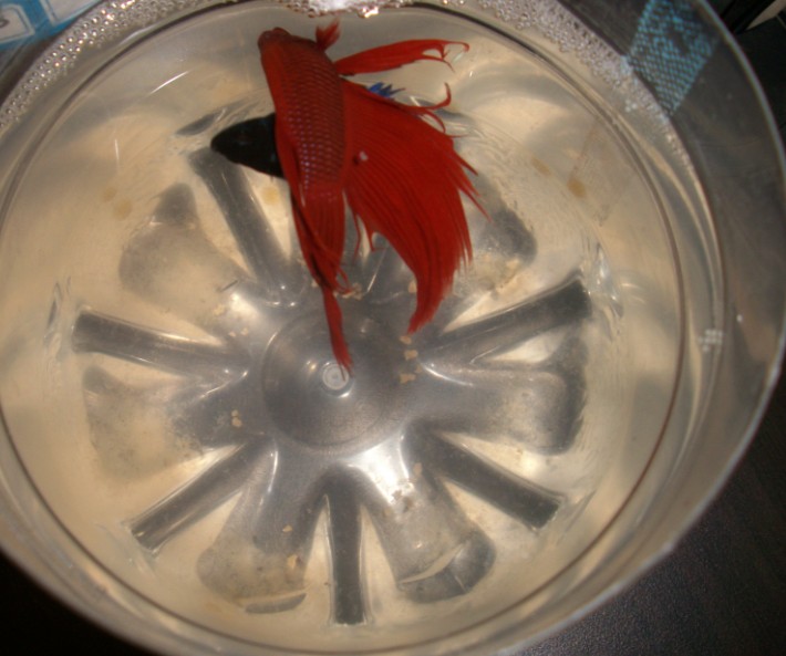 0{KG63S(A~EM~{44V`_3VIQ.jpg