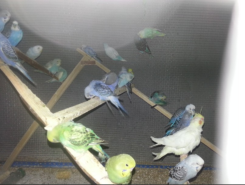 22.jpg