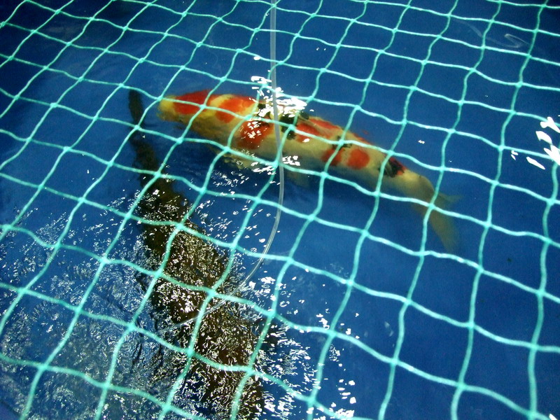 DSCF9867.jpg