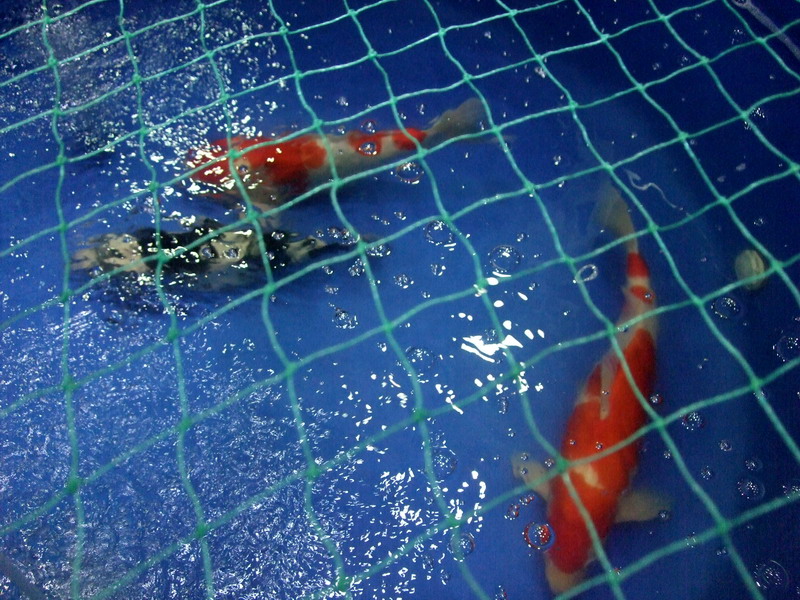 DSCF9856.jpg