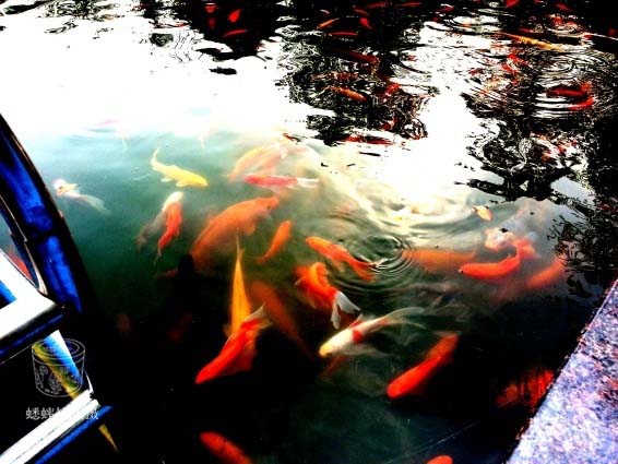 20131031_144217.jpg