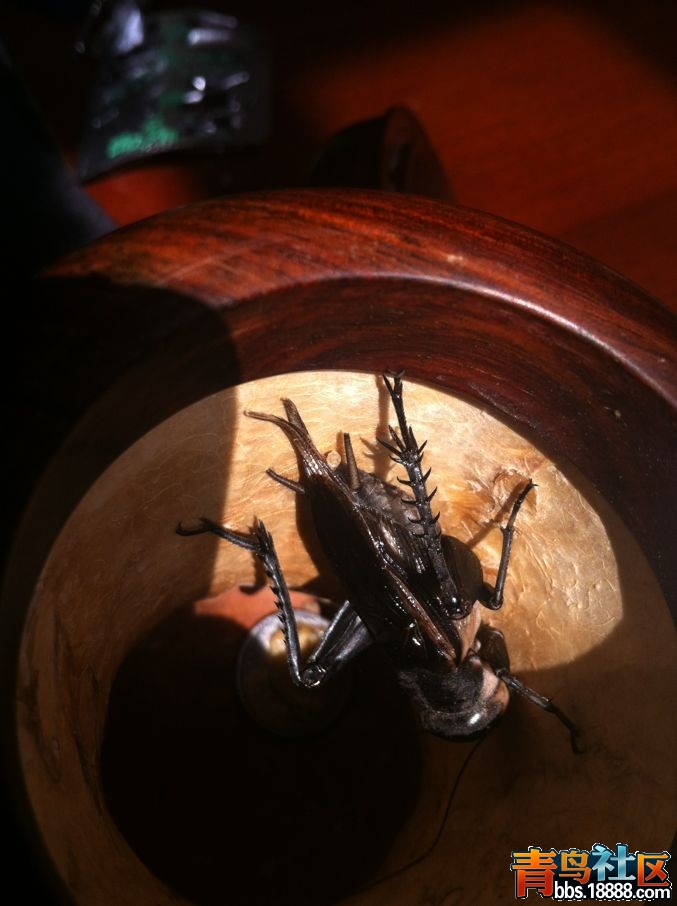QQ图片20131014103714.jpg