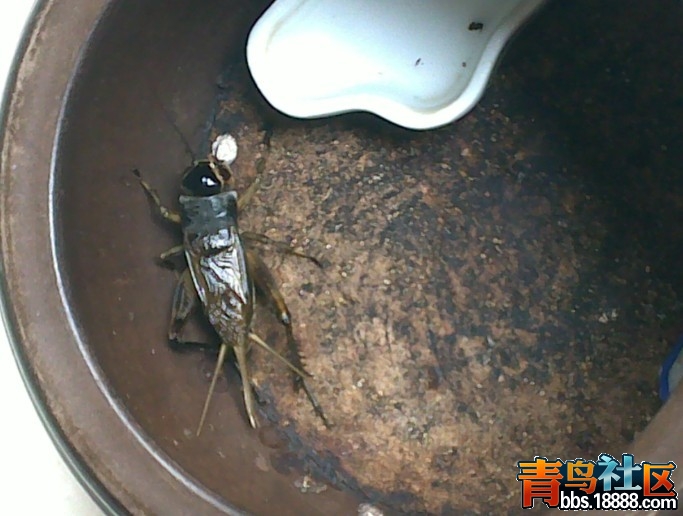QQ图片20131030083952.jpg
