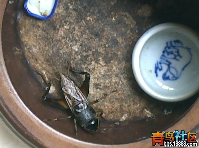 QQ图片20131030083933.jpg