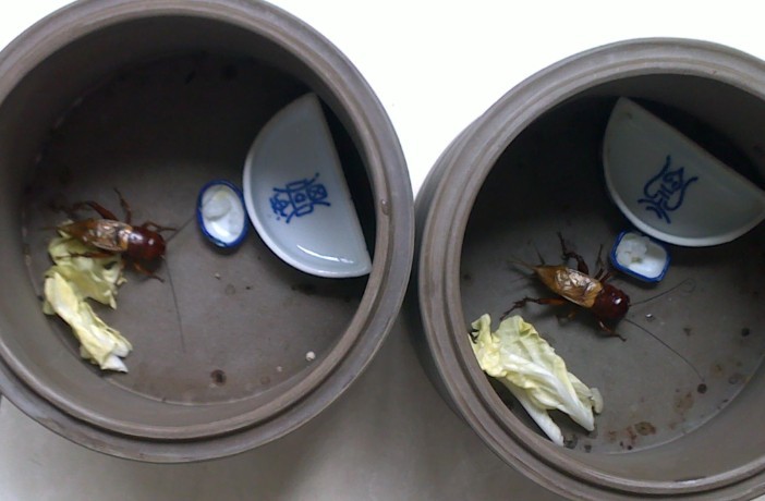 QQ图片20131030083308.jpg