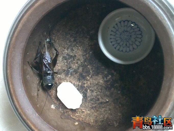 QQ图片20131030084608.jpg