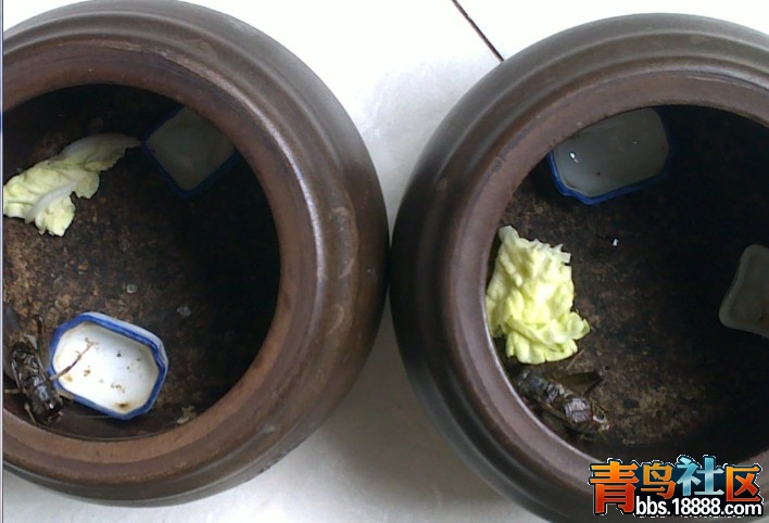QQ图片20131030084355.jpg