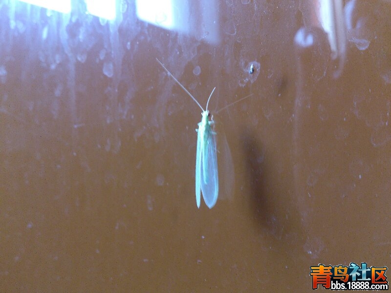 DSC_0166-1.jpg