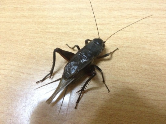 QQ截图20131001094807.jpg