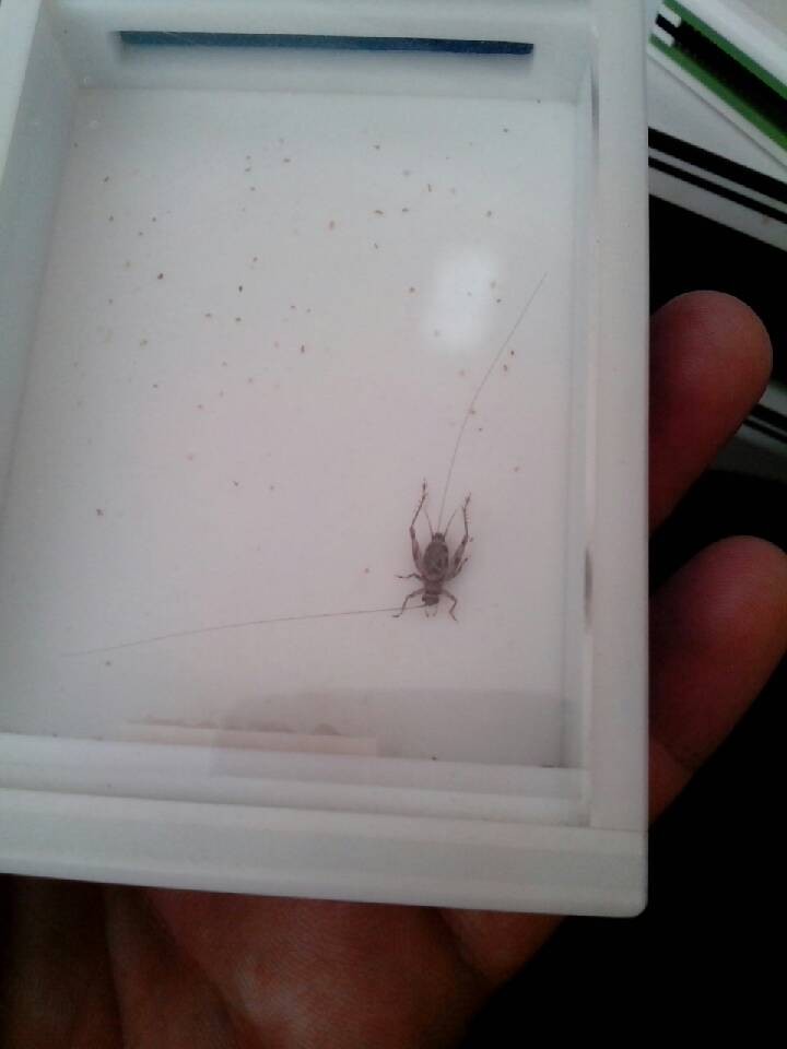 QQ图片20131031133749.jpg