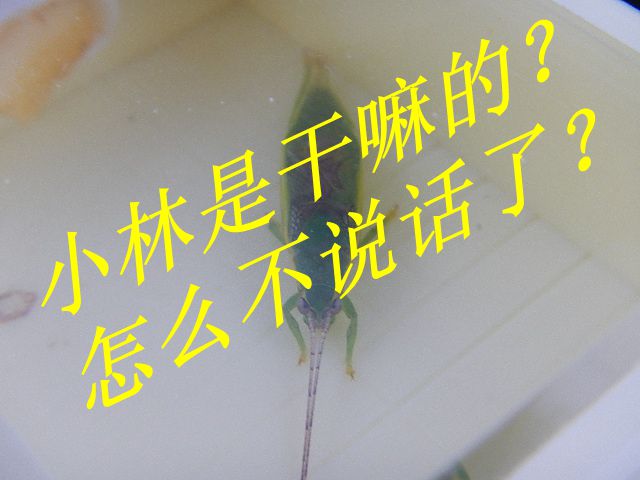 60_533099_a8c85cc35fe250c_副本_副本.jpg