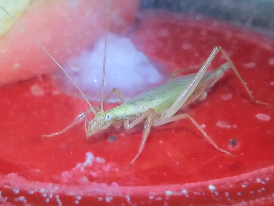 20131025_174601.jpg