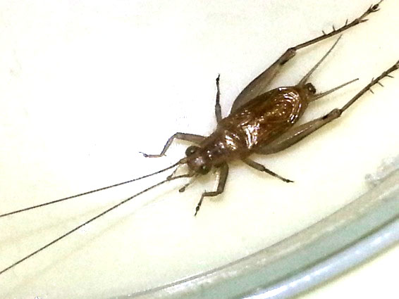 20131021_190358.jpg