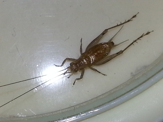 20131021_190404.jpg