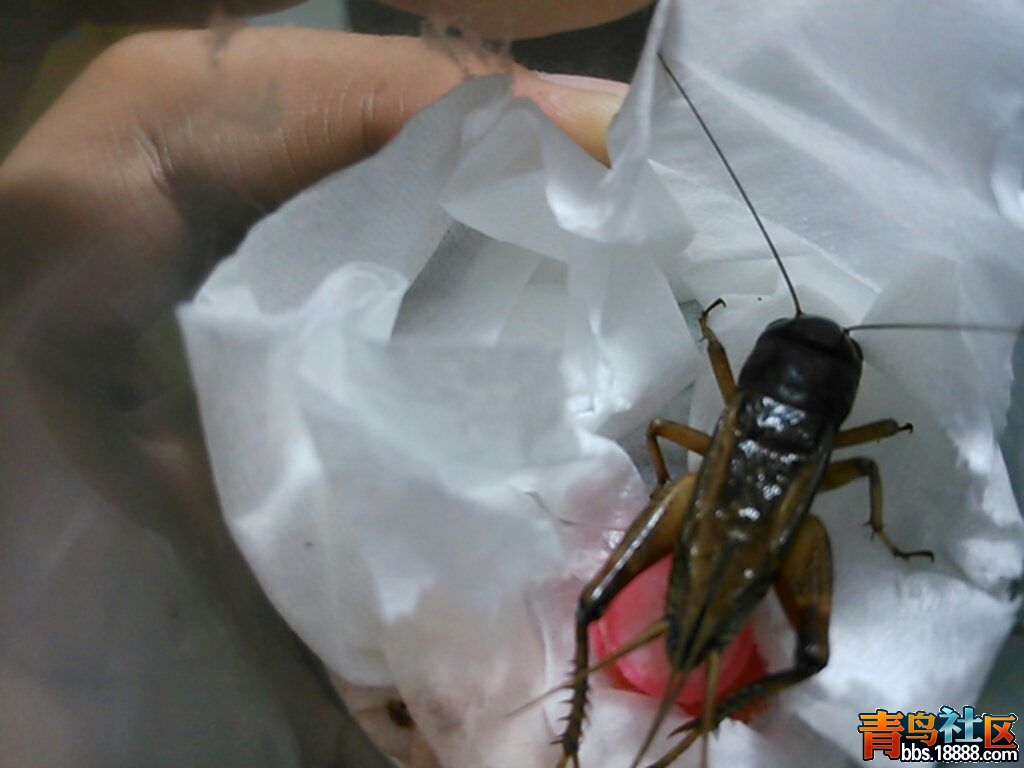UC_Photo_005.jpg