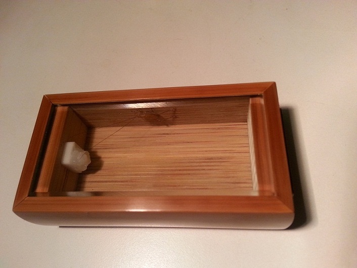 20131020_202327.jpg
