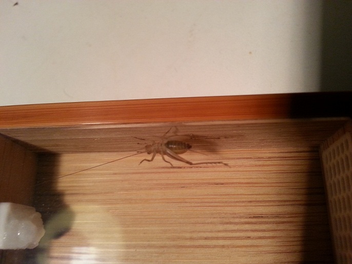 20131020_202853.jpg