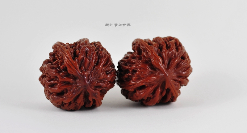 ZYB_3794_副本_副本.jpg