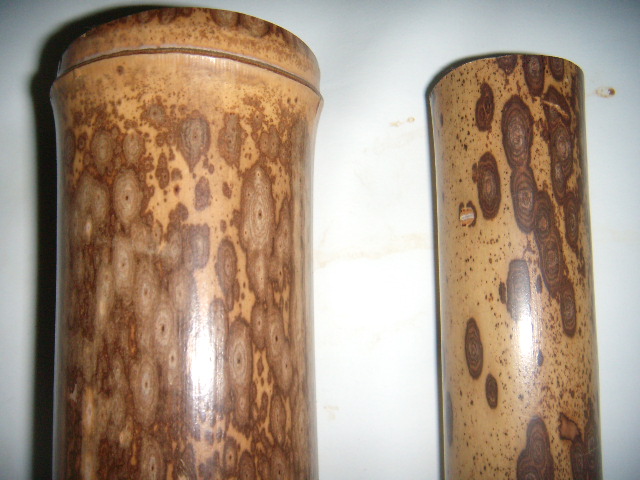 DSCN7209.JPG