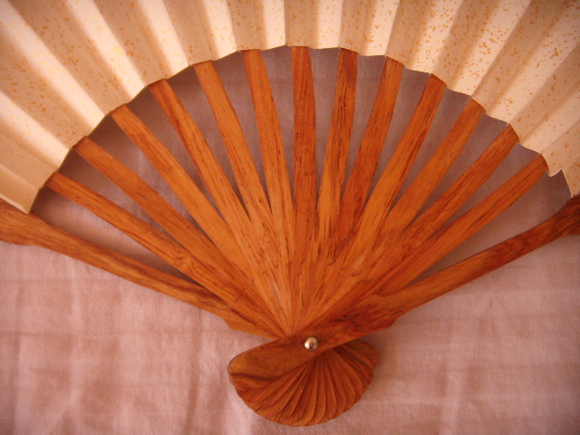 DSCN6674.JPG
