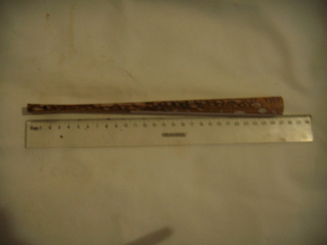 DSCN7400.JPG