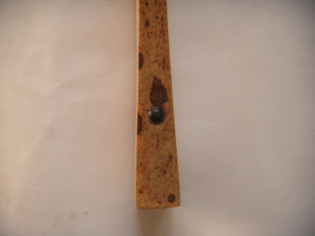 DSCN6884.JPG