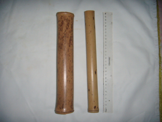 DSCN7204.JPG