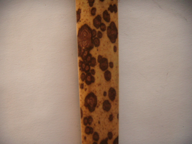 DSCN6882.JPG