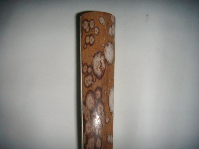 DSCN7410.JPG