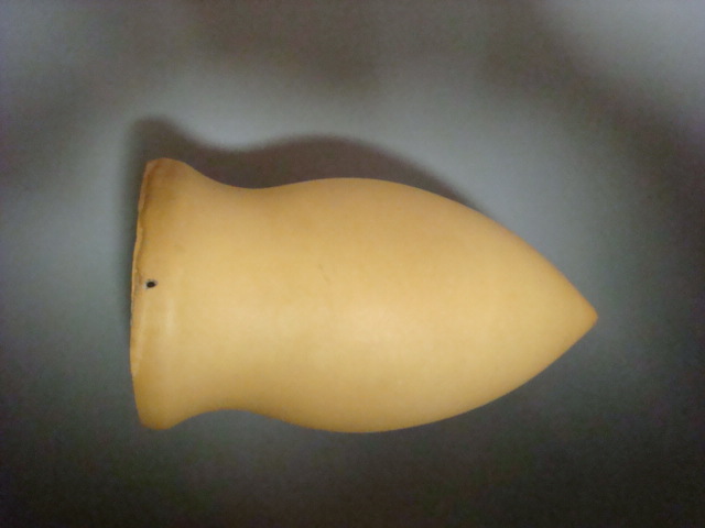 DSC04209.JPG
