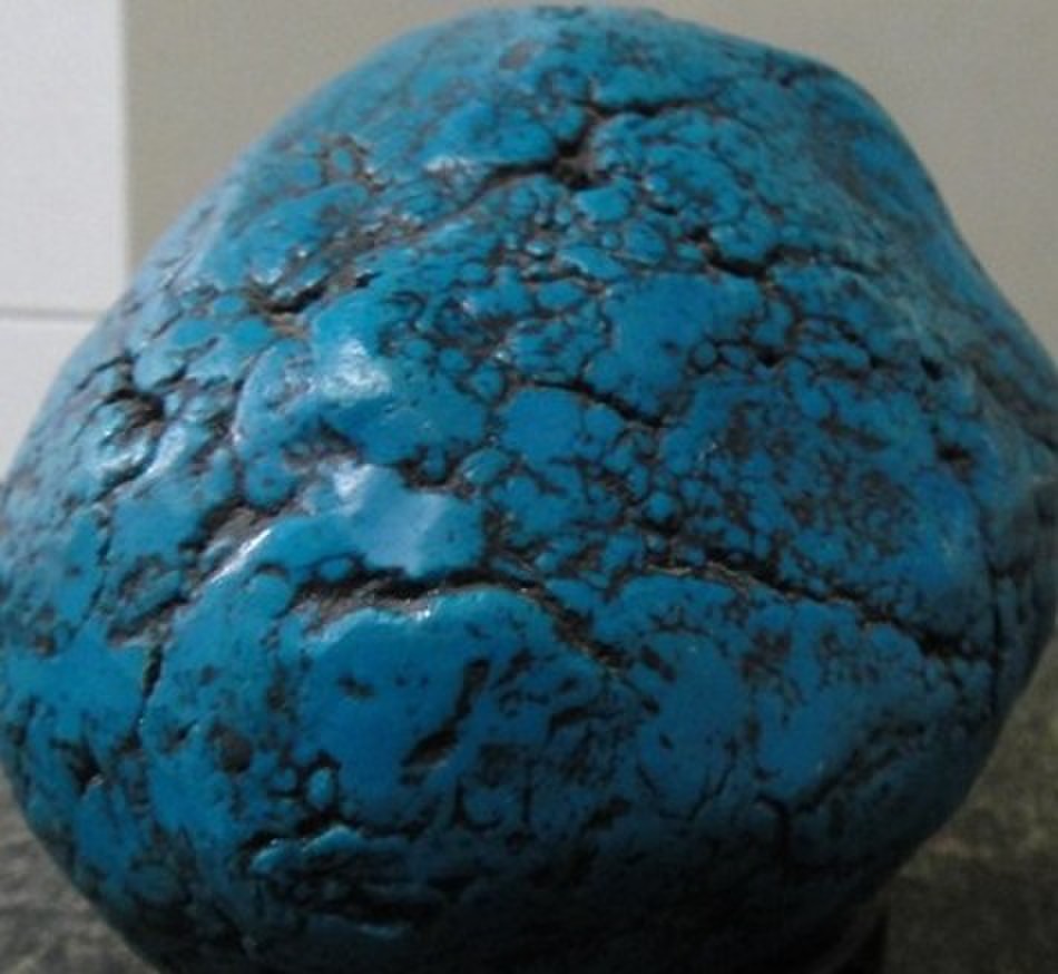 jia6.jpg