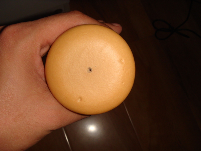 DSC08071.JPG