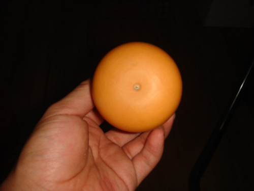 DSC07956_编辑.jpg