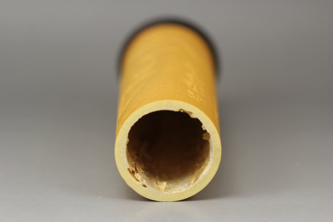 竹蛉筒-果熟来擒A5.JPG