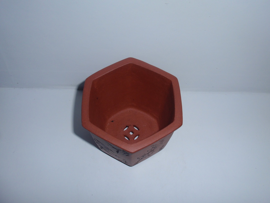 PA307660.jpg
