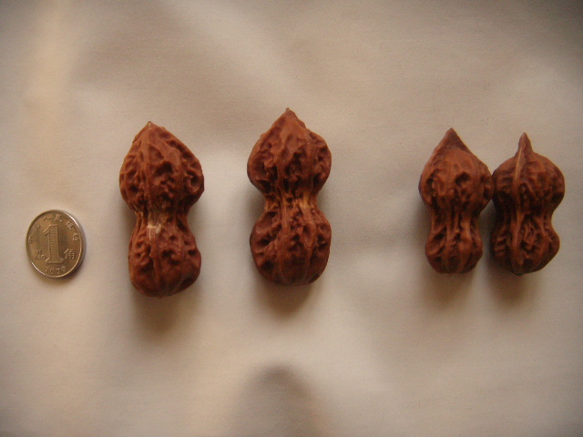 DSCN7254.JPG