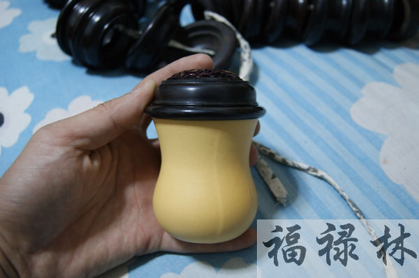 nEO_IMG_DSC09965.jpg