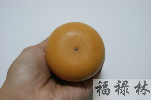 nEO_IMG_DSC09011.jpg